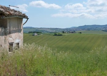 Terreno - Rustico via San Giovanni, 11, Polverigi - foto 11