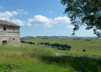 Terreno - Rustico via San Giovanni, 11, Polverigi - foto 12