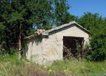 Terreno - Rustico via San Giovanni, 11, Polverigi - foto 17