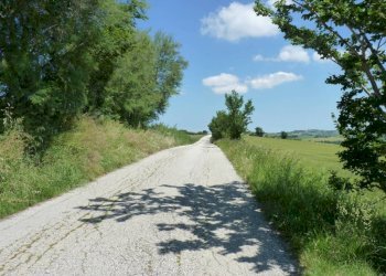 Zona - Rustico via San Giovanni, 11, Polverigi - foto 18