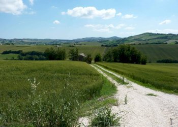 Terreno - Rustico via San Giovanni, 11, Polverigi - foto 19
