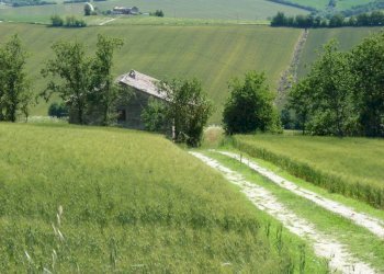 Terreno - Rustico via San Giovanni, 11, Polverigi - foto 20