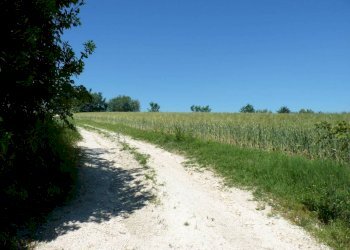 Terreno - Rustico via San Giovanni, 11, Polverigi - foto 21