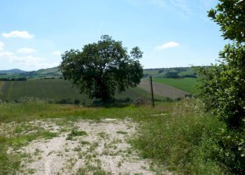 Terreno - Rustico via San Giovanni, 11, Polverigi - foto 23