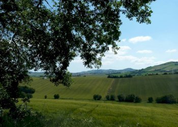Vista - Rustico via San Giovanni, 11, Polverigi - foto 25