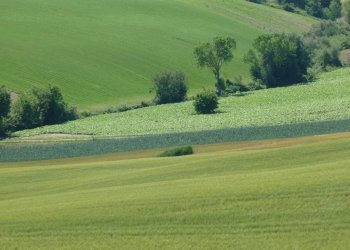Terreno - Rustico via San Giovanni, 11, Polverigi - foto 26