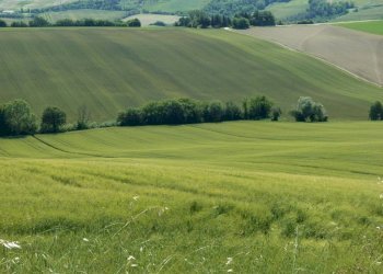 Terreno - Rustico via San Giovanni, 11, Polverigi - foto 27