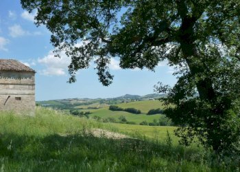 Terreno - Rustico via San Giovanni, 11, Polverigi - foto 28