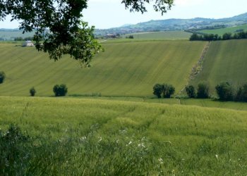 Terreno - Rustico via San Giovanni, 11, Polverigi - foto 29