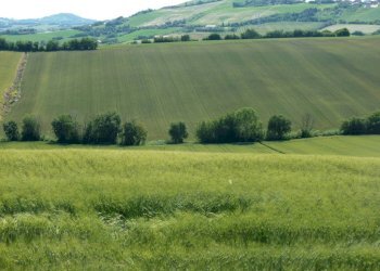 Terreno - Rustico via San Giovanni, 11, Polverigi - foto 31