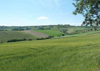 Vista - Rustico via San Giovanni, 11, Polverigi - foto 32
