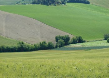 Terreno - Rustico via San Giovanni, 11, Polverigi - foto 33