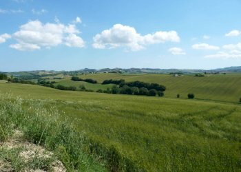 Terreno - Rustico via San Giovanni, 11, Polverigi - foto 36
