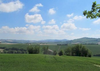 Vista - Rustico via San Giovanni, 11, Polverigi - foto 38