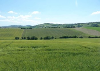 Terreno - Rustico via San Giovanni, 11, Polverigi - foto 39