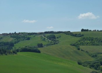 Vista - Rustico via San Giovanni, 11, Polverigi - foto 41