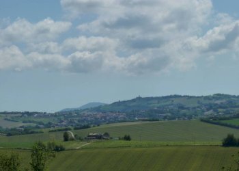 Vista - Rustico via San Giovanni, 11, Polverigi - foto 43