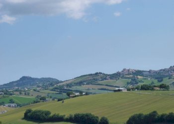 Vista - Rustico via San Giovanni, 11, Polverigi - foto 44