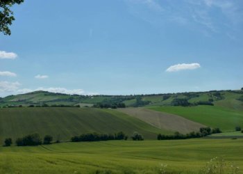 Vista - Rustico via San Giovanni, 11, Polverigi - foto 45