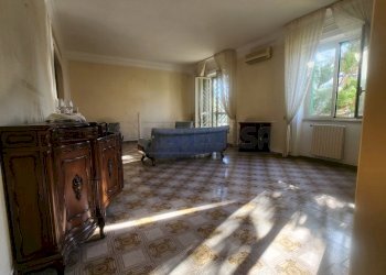 20241126_113239.jpg - Four-room apartment VIA BINETTI  22, Molfetta - photo 4