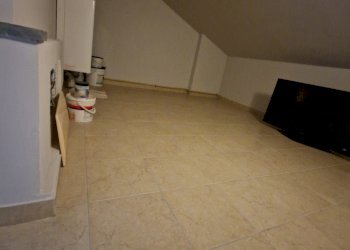 20241019_123920.jpg - Villa a Schiera Via dei Piaggesi, Lucca - foto 15