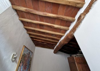 20241123_120227.jpg - Terratetto - Terracielo Via Fregionaia, Lucca - foto 6