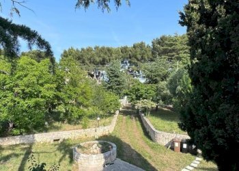 ESTERNO - Porzione di casa Contrada Antonelli 544, Monopoli - foto 6