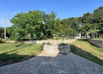 ESTERNO - Porzione di casa Contrada Antonelli 544, Monopoli - foto 7