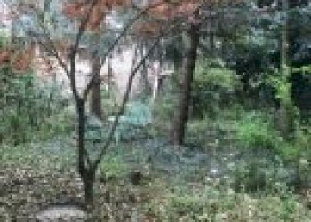 Appartamento Canelli - foto 32