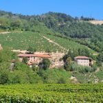 Agricultural land Canelli - photo 1