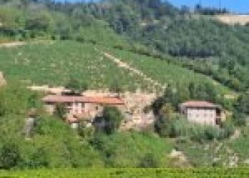 Agricultural land Canelli - photo 1