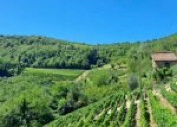 Agricultural land Canelli - photo 2