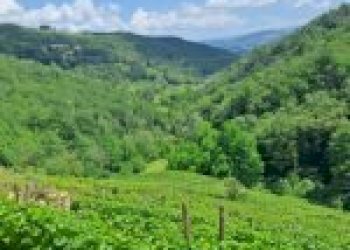 Agricultural land Canelli - photo 3