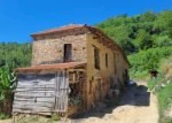 Agricultural land Canelli - photo 6