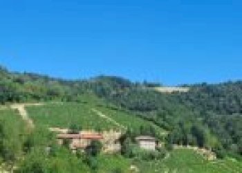 Agricultural land Canelli - photo 8