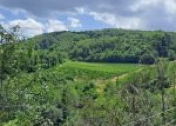 Agricultural land Canelli - photo 11