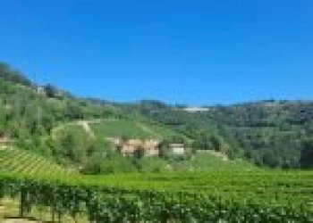 Agricultural land Canelli - photo 15