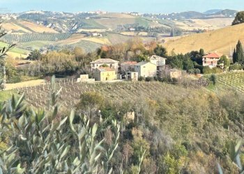 Rustico Contrada Pachierno, Castignano - foto 8