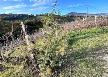 Rustico Contrada Pachierno, Castignano - foto 18
