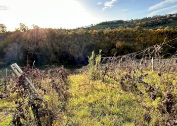 Rustico Contrada Pachierno, Castignano - foto 20