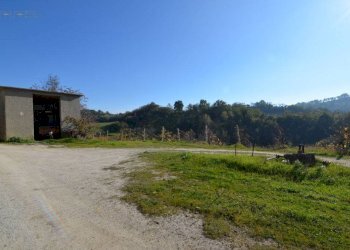 Rustico Contrada Pachierno, Castignano - foto 26