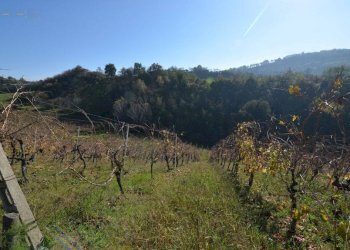 Rustico Contrada Pachierno, Castignano - foto 30