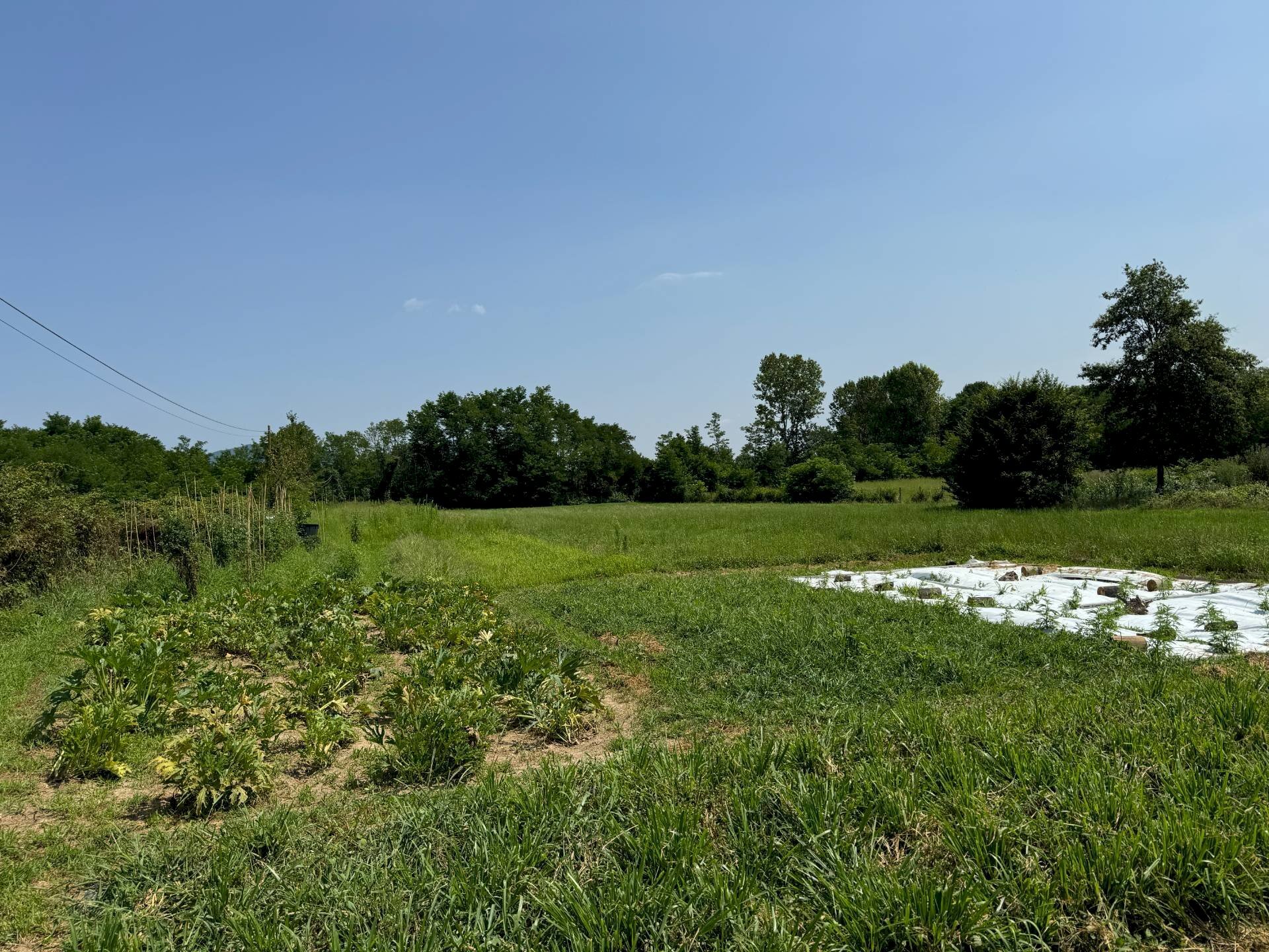Rustico Strada Pinerolo, Cumiana - foto 3