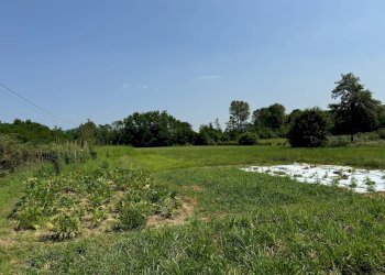 Rustico Strada Pinerolo, Cumiana - foto 3