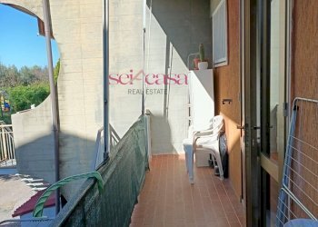 Villa a Schiera Grosseto - foto 14