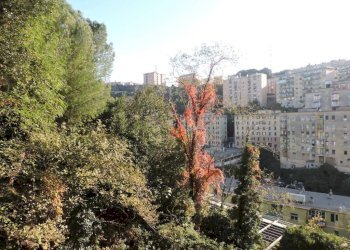 Vista - Trilocale via Generale Manfredo Fanti, Genova (zona Sampierdarena) - foto 14