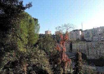 Vista - Trilocale via Generale Manfredo Fanti, Genova (zona Sampierdarena) - foto 15