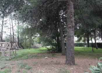 Terreno - Trilocale via Antonio Gramsci, 53, Nova Siri - foto 9