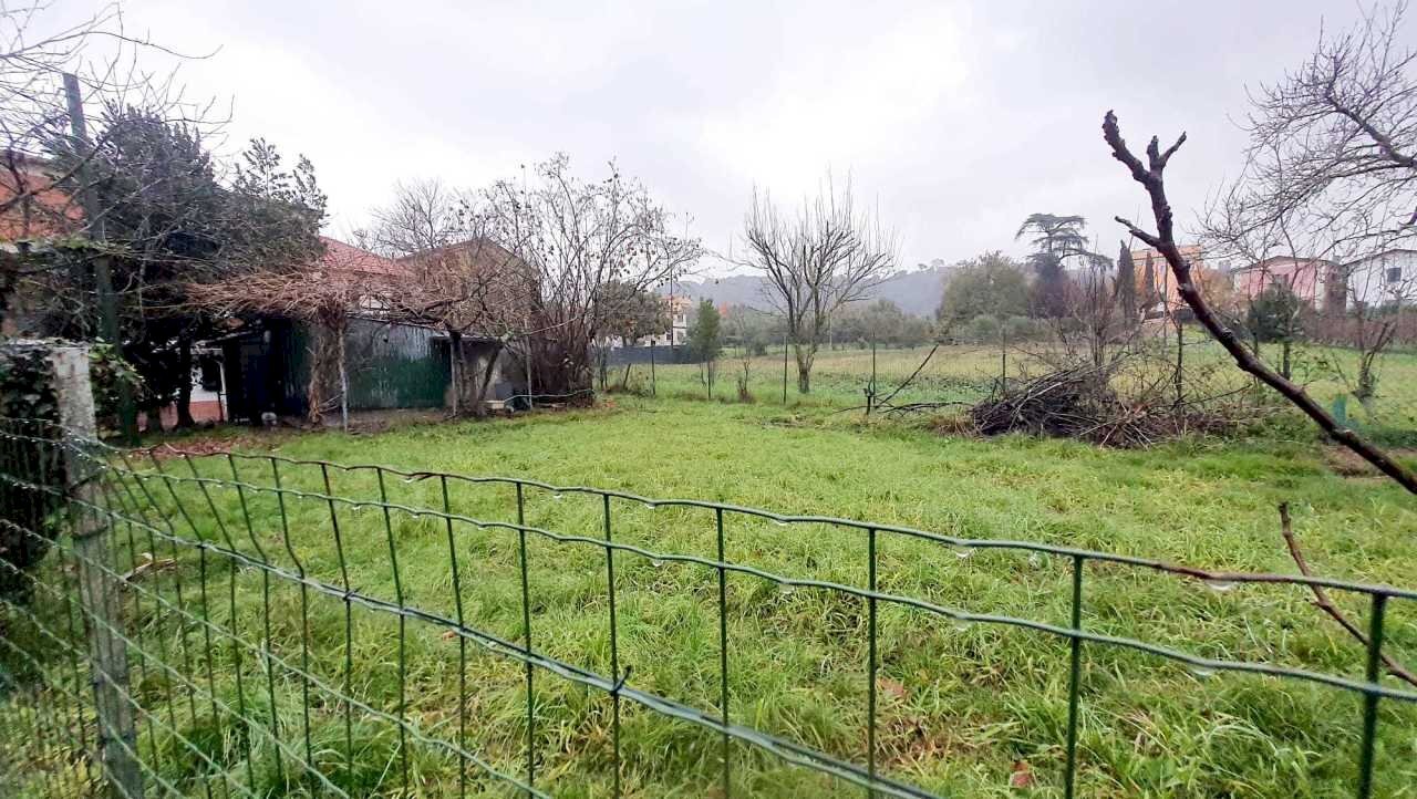 bfe788b8-e2d1-40f0-9cf6-60a2bce3f68b.jpg - Semi-detached house Sarzana - photo 2