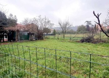 bfe788b8-e2d1-40f0-9cf6-60a2bce3f68b.jpg - Casa semi indipendente Sarzana - foto 2